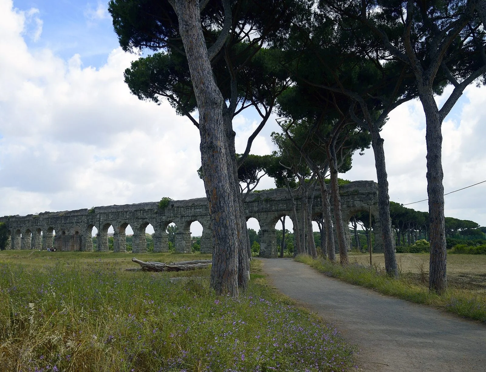 Un viale alberato di pini marittimi nel Parco degli Acquedotti a Roma: sullo sfondo la lunga fila di arcate in pietra dell'acquedotto romano, in primo piano un prato con fiori viola e un sentiero asfaltato