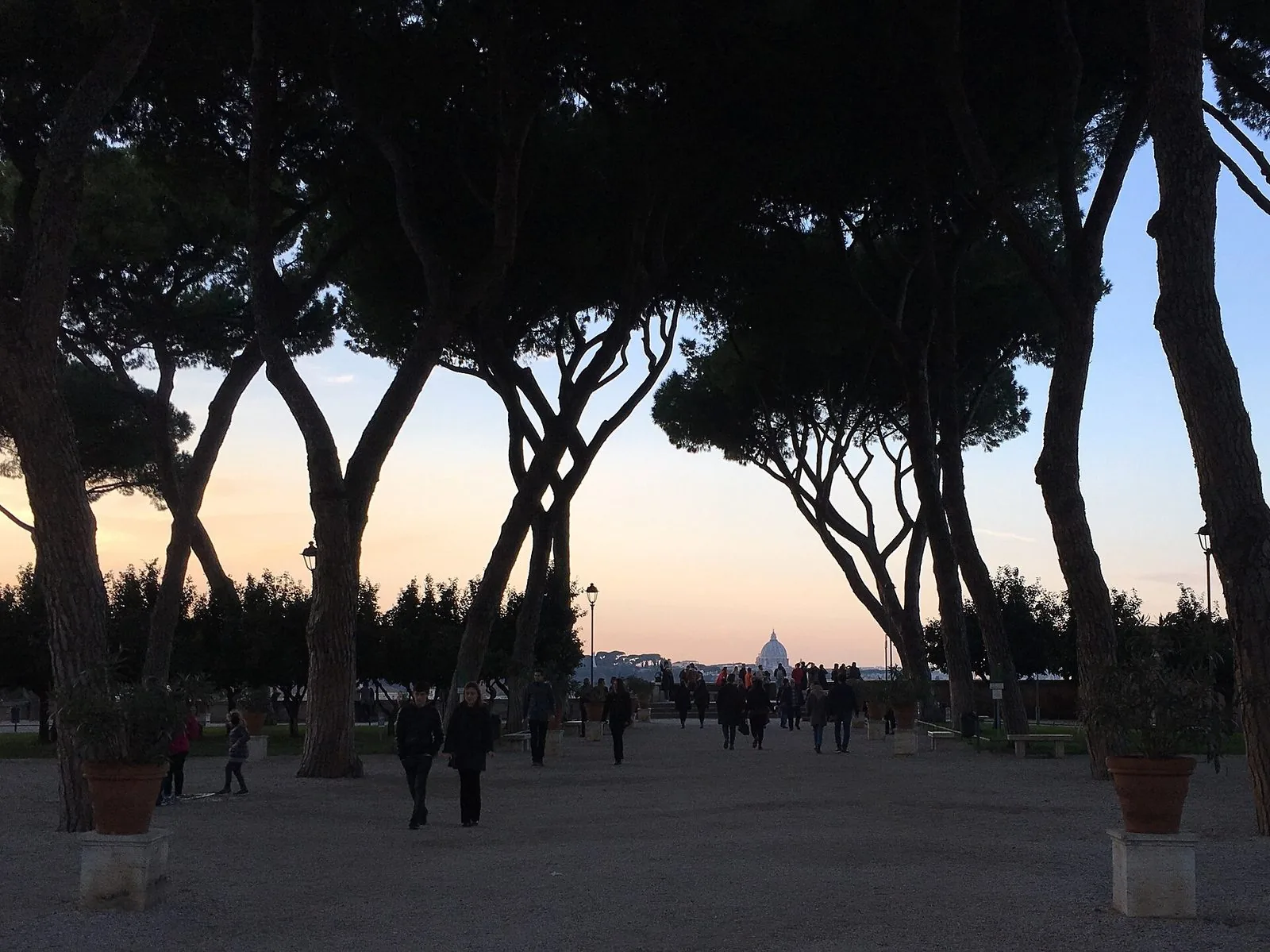 Il Giardino degli Aranci sull'Aventino al tramonto: i tronchi dei pini marittimi in controluce incorniciano il viale di ghiaia con alcuni passanti e, sullo sfondo, la cupola di San Pietro contro il cielo rosato