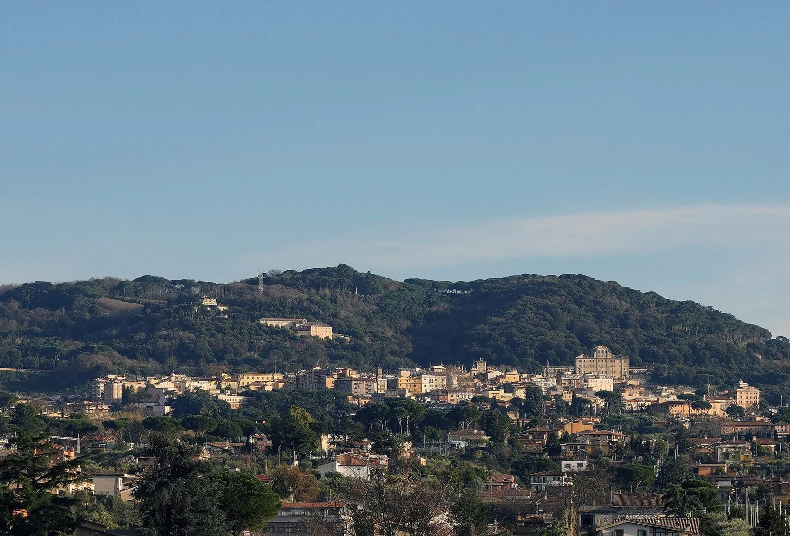 Panorama di Frascati in una giornata limpida: le case color ocra del paese sul fianco della collina, sovrastate da una villa monumentale, con i boschi e i pini dei Colli Albani sullo sfondo e un ampio cielo azzurro